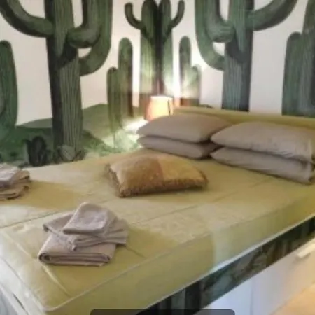 Casa Del Cactus Luxury ゲストハウス 3*